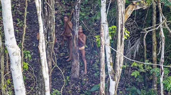 Brazil News | Indigenous